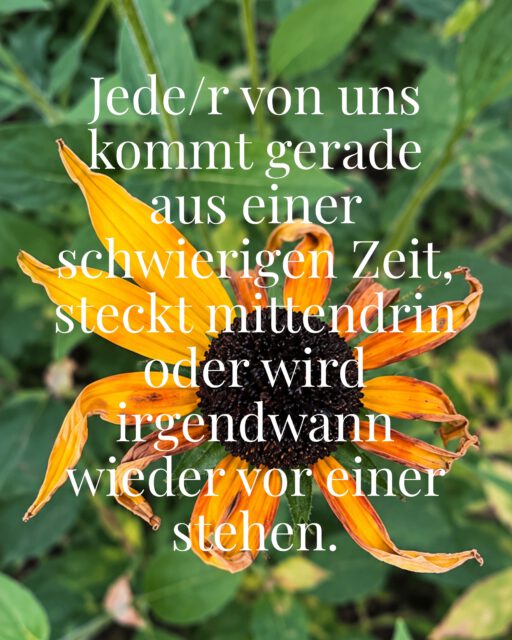 Den Spruch habe ich heute gehört. Und ja – er klingt erst mal ziemlich hart. Aber irgendwie ist es doch genau so.

Ich beobachte es bei mir und bei den Menschen, die ich begleite: Das Leben verläuft in Wellen. Hoch, runter, hin und her.

Und trotzdem denken wir in schwierigen Zeiten oft, es trifft nur uns. Wir werden irgendwie bestraft. Was haben wir denn nur falsch gemacht?

Aber hey – was passiert, wenn wir diese Bewertung mal rausnehmen? Uns bewusst machen, dass nach jeder Ebbe auch wieder die Flut kommt. Die Sonne hinter den Wolken immer noch scheint. Und auch das, was sich gerade herausfordernd und schwer anfühlt, nicht so bleiben wird.

✨Es wird sich verändern und es wird auch wieder leichter. ✨

Schauen wir im Nachhinein auf unsere Krisen und schwierigen Zeiten zurück, war da doch oft auch ein Geschenk. Vielleicht haben sie uns ein Stück stärker gemacht, uns eine neue Seite an uns selbst gezeigt, unsere Werte auf den Prüfstand gestellt und uns erkennen lassen, was uns wirklich wichtig ist. 

Denn machen wir uns mal nichts vor, oft muss erst die "Kotzgrenze" erreicht sein, damit wir auf den Tisch hauen, was ändern oder endlich mal ehrliche Worte sprechen. Dafür braucht es diese Tiefgänge. 

Aus der Perspektive meint es das Leben doch ziemlich gut mit uns - so oder so! 🩷

Alles Liebe, Claudia

#innerestärke #innerearbeit #selbstbewußtseinstärken #transformation #wunderdeslebens