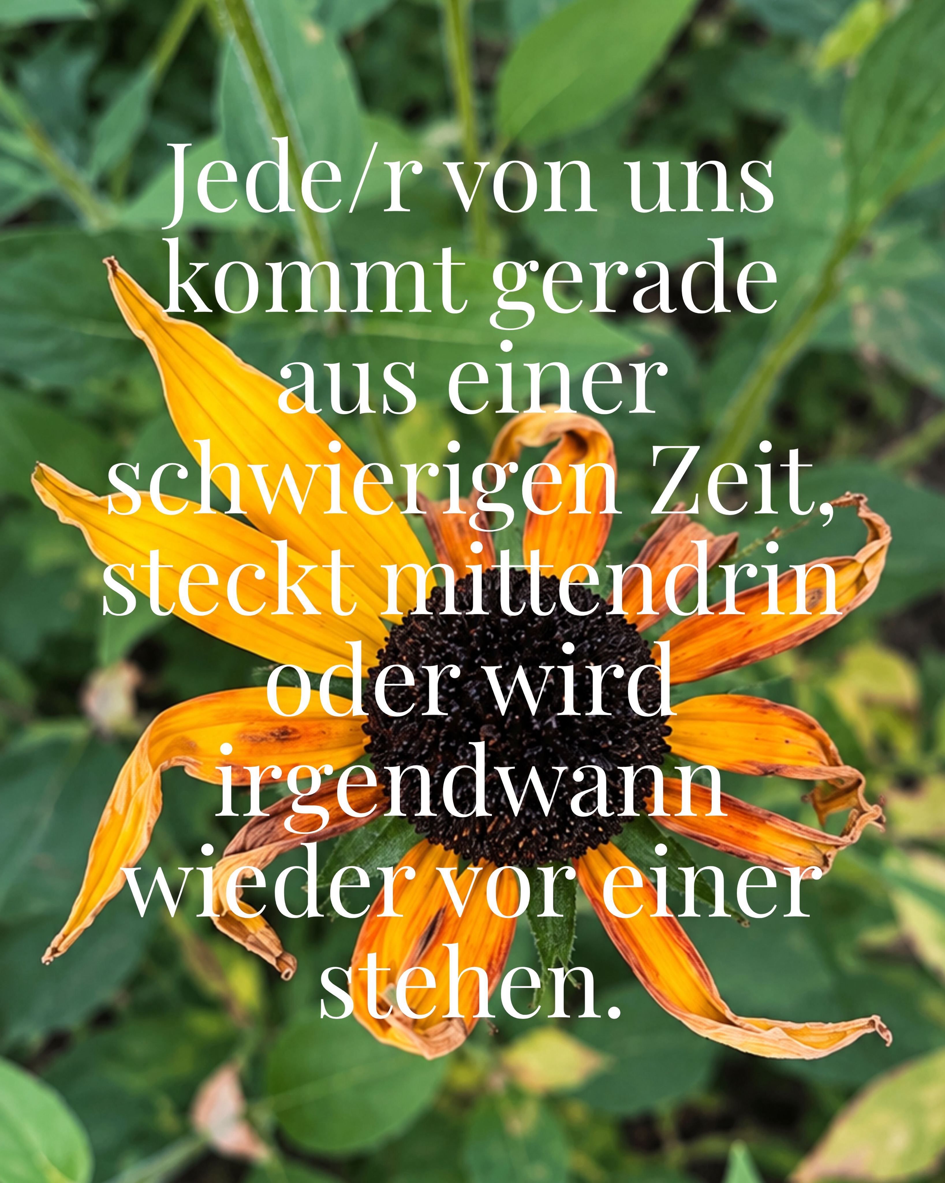 Den Spruch habe ich heute gehört. Und ja – er klingt erst mal ziemlich hart. Aber irgendwie ist es doch genau so.

Ich beobachte es bei mir und bei den Menschen, die ich begleite: Das Leben verläuft in Wellen. Hoch, runter, hin und her.

Und trotzdem denken wir in schwierigen Zeiten oft, es trifft nur uns. Wir werden irgendwie bestraft. Was haben wir denn nur falsch gemacht?

Aber hey – was passiert, wenn wir diese Bewertung mal rausnehmen? Uns bewusst machen, dass nach jeder Ebbe auch wieder die Flut kommt. Die Sonne hinter den Wolken immer noch scheint. Und auch das, was sich gerade herausfordernd und schwer anfühlt, nicht so bleiben wird.

✨Es wird sich verändern und es wird auch wieder leichter. ✨

Schauen wir im Nachhinein auf unsere Krisen und schwierigen Zeiten zurück, war da doch oft auch ein Geschenk. Vielleicht haben sie uns ein Stück stärker gemacht, uns eine neue Seite an uns selbst gezeigt, unsere Werte auf den Prüfstand gestellt und uns erkennen lassen, was uns wirklich wichtig ist. 

Denn machen wir uns mal nichts vor, oft muss erst die "Kotzgrenze" erreicht sein, damit wir auf den Tisch hauen, was ändern oder endlich mal ehrliche Worte sprechen. Dafür braucht es diese Tiefgänge. 

Aus der Perspektive meint es das Leben doch ziemlich gut mit uns - so oder so! 🩷

Alles Liebe, Claudia

#innerestärke #innerearbeit #selbstbewußtseinstärken #transformation #wunderdeslebens
